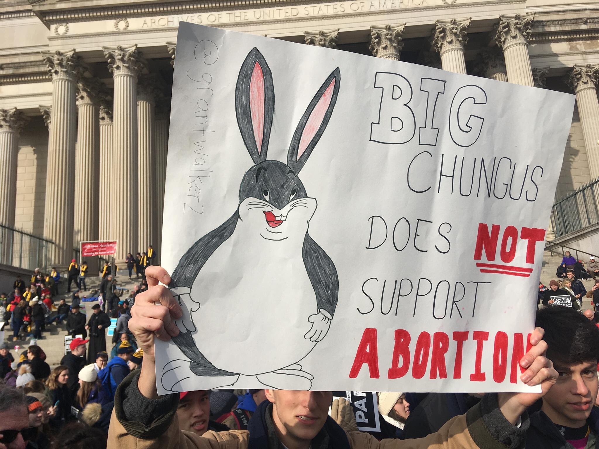 High Quality Big chungus doesn't support abortion Blank Meme Template
