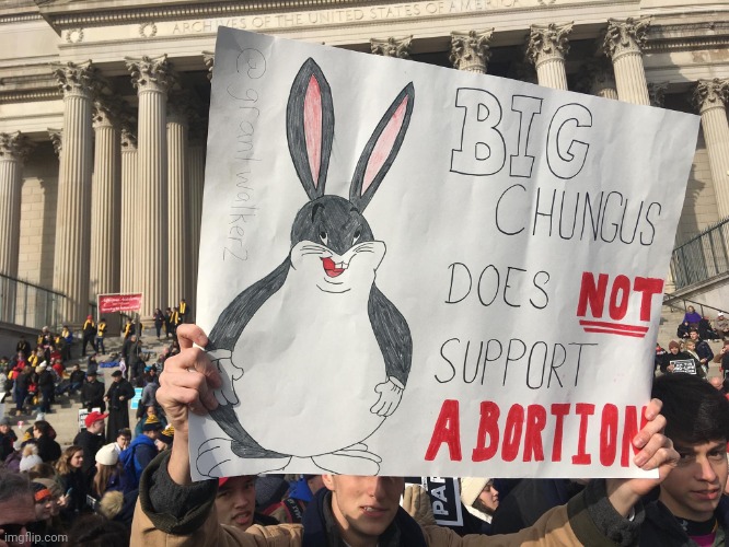 Big chungus doesn't support abortion | image tagged in big chungus doesn't support abortion | made w/ Imgflip meme maker