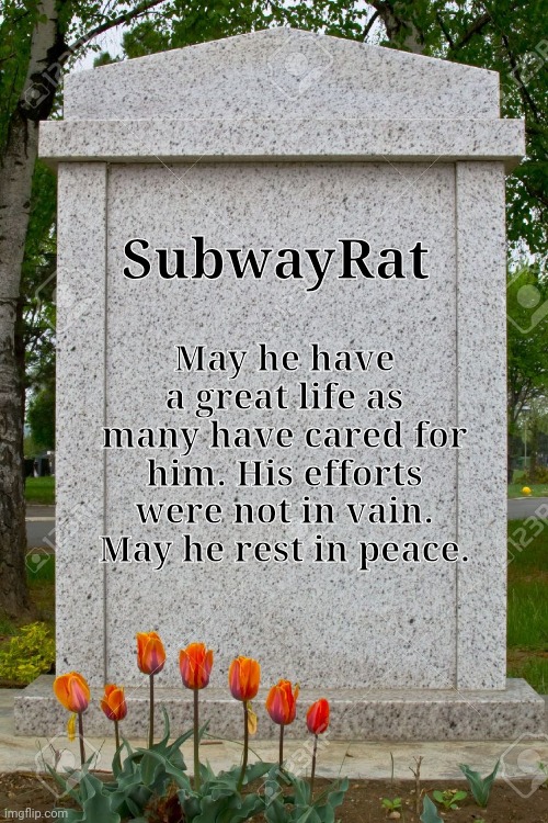 RIP homie | SubwayRat; May he have a great life as many have cared for him. His efforts were not in vain. May he rest in peace. | image tagged in blank gravestone,memes,funny,press f to pay respects | made w/ Imgflip meme maker