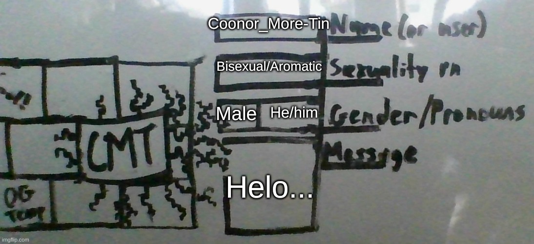 Image Title | Coonor_More-Tin; Bisexual/Aromatic; He/him; Male; Helo... | image tagged in cmt's cool template,fresh memes,meh,helo fish,oh wow are you actually reading these tags | made w/ Imgflip meme maker