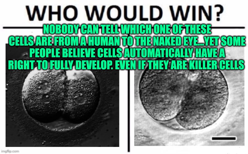 Human vs. Monkey zygote | NOBODY CAN TELL WHICH ONE OF THESE CELLS ARE FROM A HUMAN TO THE NAKED EYE...YET SOME PEOPLE BELIEVE CELLS AUTOMATICALLY HAVE A RIGHT TO FULLY DEVELOP. EVEN IF THEY ARE KILLER CELLS | image tagged in human vs monkey zygote | made w/ Imgflip meme maker