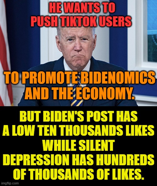 Biden's Campaign Strategy | HE WANTS TO PUSH TIKTOK USERS; TO PROMOTE BIDENOMICS AND THE ECONOMY. BUT BIDEN'S POST HAS A LOW TEN THOUSANDS LIKES; WHILE SILENT DEPRESSION HAS HUNDREDS OF THOUSANDS OF LIKES. | image tagged in memes,politics,joe biden,campaign,tiktok,misinformation | made w/ Imgflip meme maker