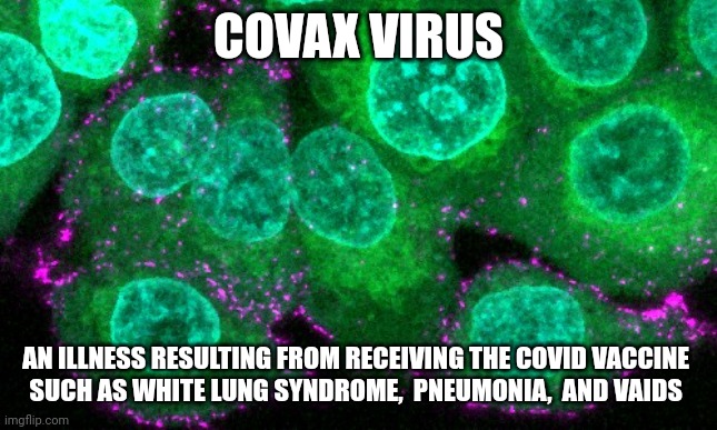 plandemic | COVAX VIRUS; AN ILLNESS RESULTING FROM RECEIVING THE COVID VACCINE 
SUCH AS WHITE LUNG SYNDROME,  PNEUMONIA,  AND VAIDS | image tagged in plandemic | made w/ Imgflip meme maker
