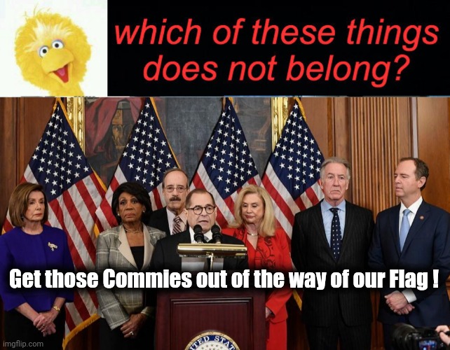 Get those Commies out of the way of our Flag ! | image tagged in house democrats | made w/ Imgflip meme maker