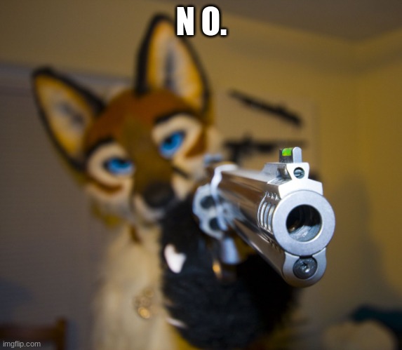 Furry with gun | N O. | image tagged in furry with gun | made w/ Imgflip meme maker