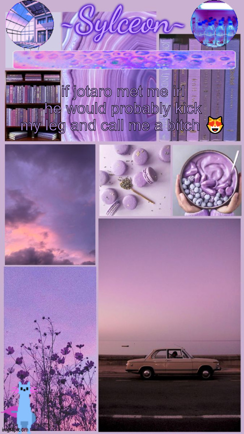 sylc's moodboard announcement | if jotaro met me irl he would probably kick my leg and call me a bitch 😻 | image tagged in sylc's moodboard announcement | made w/ Imgflip meme maker