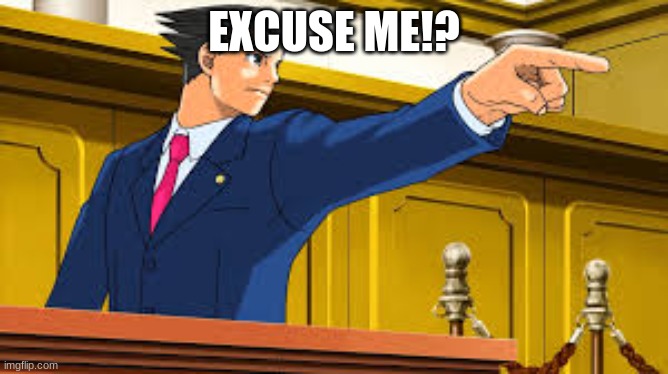 Phoenix Wright's | EXCUSE ME!? | image tagged in phoenix wright's | made w/ Imgflip meme maker