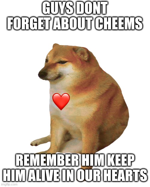 cheems | GUYS DONT FORGET ABOUT CHEEMS; REMEMBER HIM KEEP HIM ALIVE IN OUR HEARTS | image tagged in cheems | made w/ Imgflip meme maker