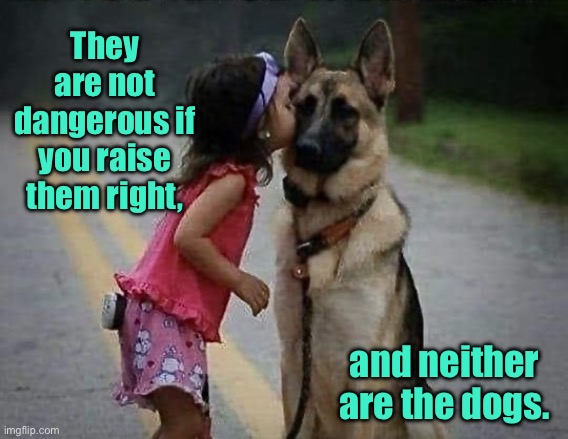 Not dangerous | They are not dangerous if you raise them right, and neither are the dogs. | image tagged in girl and dog,not dangerous,raise them right,neither are the dogs,fun | made w/ Imgflip meme maker
