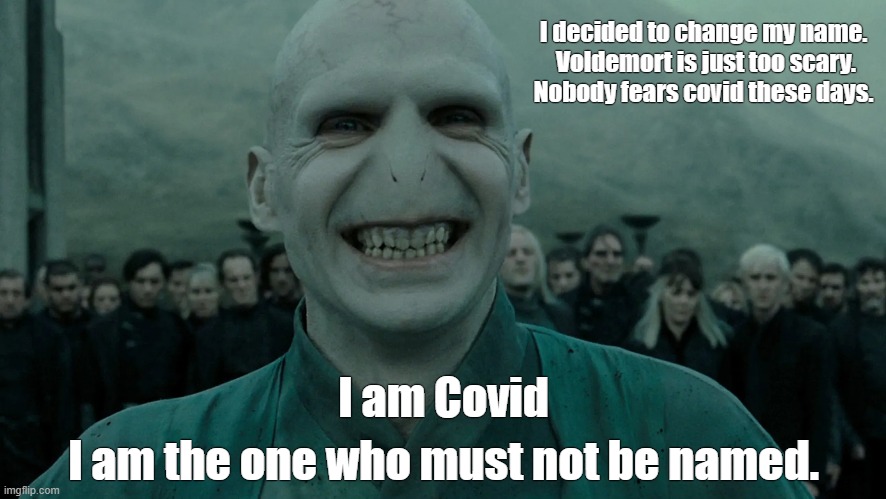 one who must not be named | I decided to change my name. 
Voldemort is just too scary.
Nobody fears covid these days. I am the one who must not be named. I am Covid | image tagged in voldemort,covid,flu,infection,death | made w/ Imgflip meme maker