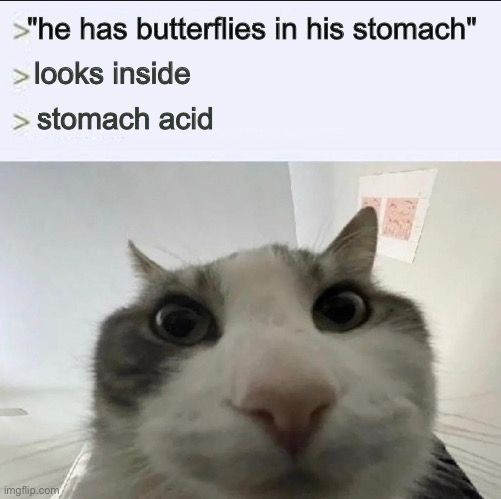 unless you've been eating butterflies for whatever reason (i doubt it'd be good for you), yeah... | "he has butterflies in his stomach"; looks inside; stomach acid | image tagged in cat looks inside,butterfly,cat,hmm | made w/ Imgflip meme maker