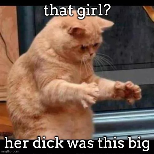 it's too sad that girls having dicks isn't even weird anymore | that girl? her dick was this big | image tagged in cat aliens | made w/ Imgflip meme maker