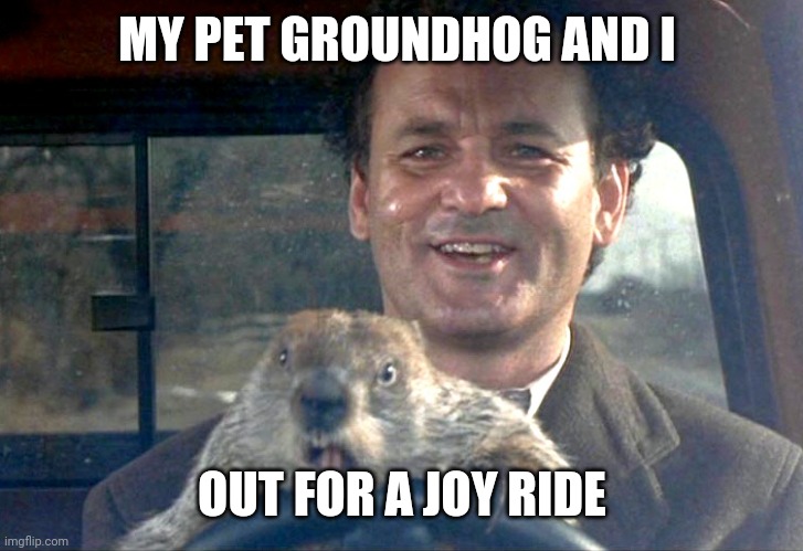 Ground Hog and I | MY PET GROUNDHOG AND I; OUT FOR A JOY RIDE | image tagged in ground hog day bill murray,funny memes | made w/ Imgflip meme maker