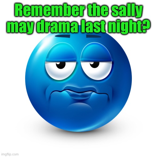 Frustrate | Remember the sally may drama last night? | image tagged in frustrate | made w/ Imgflip meme maker