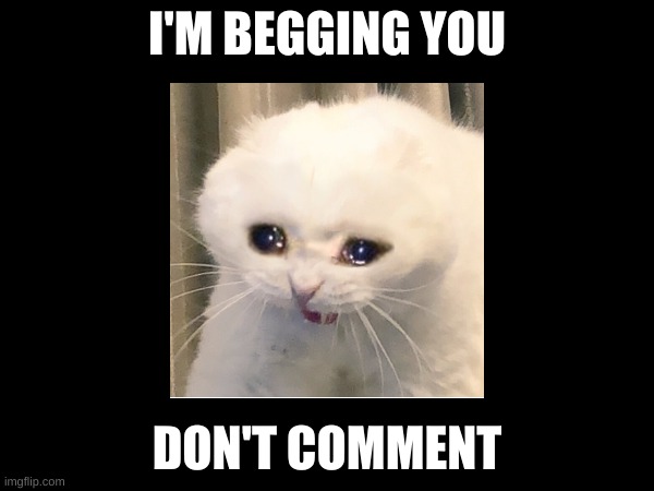 don't comment | I'M BEGGING YOU; DON'T COMMENT | image tagged in comment,cat | made w/ Imgflip meme maker