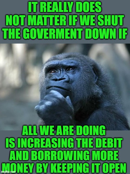 What if we shut the federal government down and the world did not end | IT REALLY DOES NOT MATTER IF WE SHUT THE GOVERMENT DOWN IF; ALL WE ARE DOING IS INCREASING THE DEBIT AND BORROWING MORE MONEY BY KEEPING IT OPEN | image tagged in democrats | made w/ Imgflip meme maker