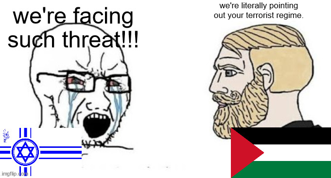 yo facts | we're literally pointing out your terrorist regime. we're facing such threat!!! | image tagged in soyjak vs chad | made w/ Imgflip meme maker