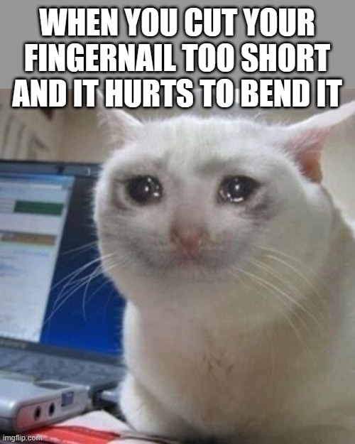 I hate when this happens | WHEN YOU CUT YOUR FINGERNAIL TOO SHORT AND IT HURTS TO BEND IT | image tagged in crying cat | made w/ Imgflip meme maker