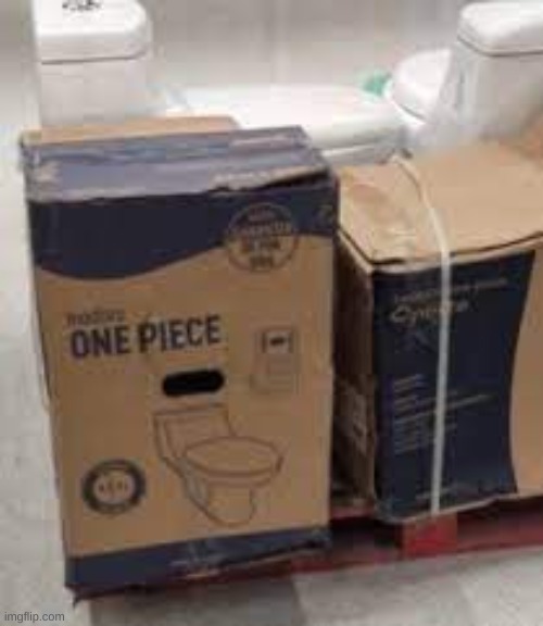 one piece | image tagged in one piece,toilet,one piece toilet | made w/ Imgflip meme maker