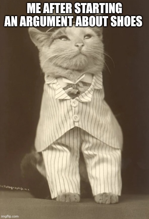 ME AFTER STARTING AN ARGUMENT ABOUT SHOES | image tagged in cat in pinstripe | made w/ Imgflip meme maker