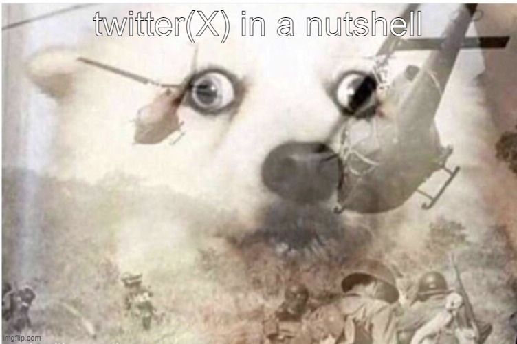 X | twitter(X) in a nutshell | image tagged in ptsd dog | made w/ Imgflip meme maker