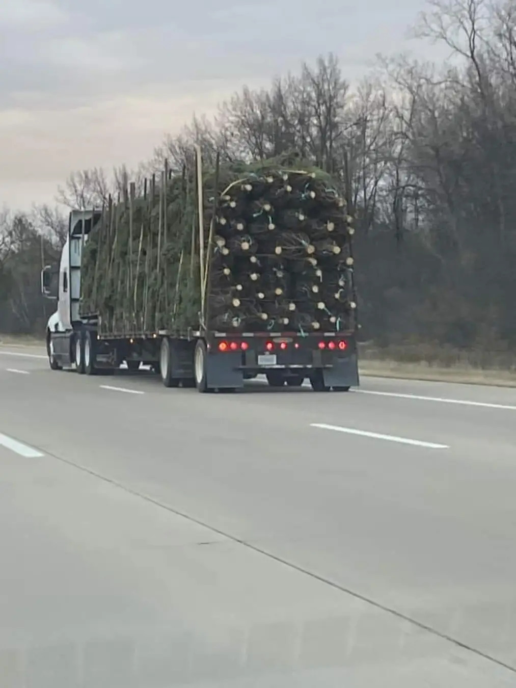 Final Destination Christmas Blank Meme Template