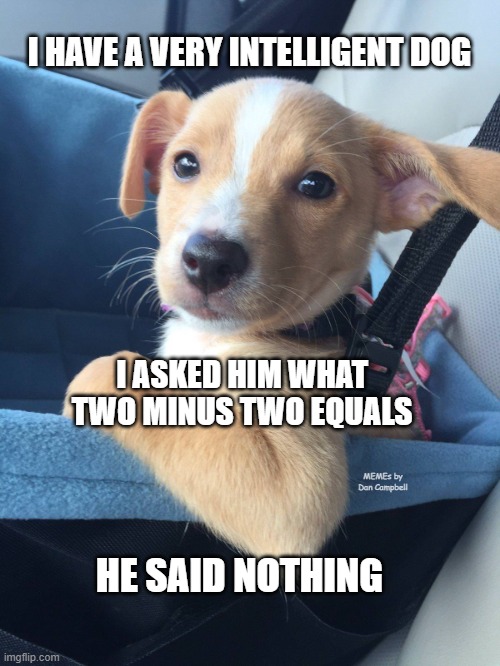 smart dog | I HAVE A VERY INTELLIGENT DOG; I ASKED HIM WHAT TWO MINUS TWO EQUALS; MEMEs by Dan Campbell; HE SAID NOTHING | image tagged in smart dog | made w/ Imgflip meme maker