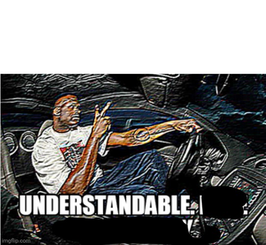 UNDERSTANDABLE, HAVE A GREAT DAY | image tagged in understandable have a great day | made w/ Imgflip meme maker