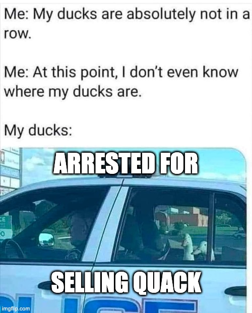 My Ducks, My Ducks, My Lovely Lady Lucks | ARRESTED FOR; SELLING QUACK | image tagged in duck,cops,arrested | made w/ Imgflip meme maker