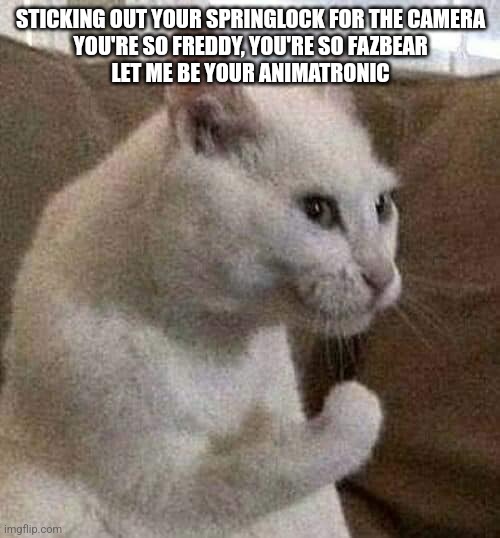 I | STICKING OUT YOUR SPRINGLOCK FOR THE CAMERA
YOU'RE SO FREDDY, YOU'RE SO FAZBEAR
LET ME BE YOUR ANIMATRONIC | image tagged in italian catto | made w/ Imgflip meme maker