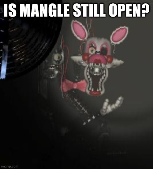 Mangle | IS MANGLE STILL OPEN? | image tagged in mangle | made w/ Imgflip meme maker