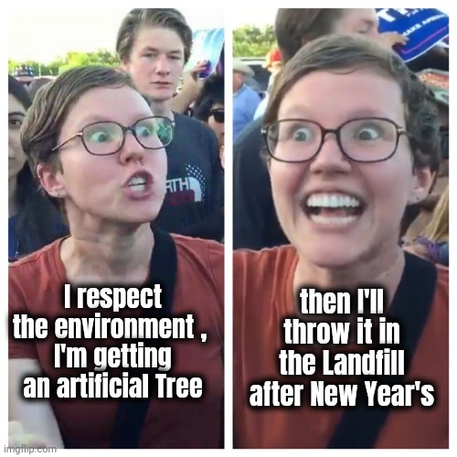 For Christmas I want a Political Football | then I'll throw it in the Landfill after New Year's; I respect the environment , 
I'm getting an artificial Tree | image tagged in hypocrite liberal,environmental,well yes but actually no,christmas tree,plastic,ecologically unsound | made w/ Imgflip meme maker