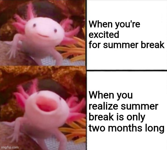 axolotl drake | When you're excited for summer break; When you realize summer break is only two months long | image tagged in axolotl drake | made w/ Imgflip meme maker