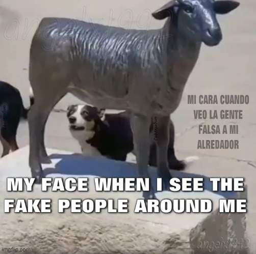 image tagged in people,friends,sheep,dog,fake,face | made w/ Imgflip meme maker