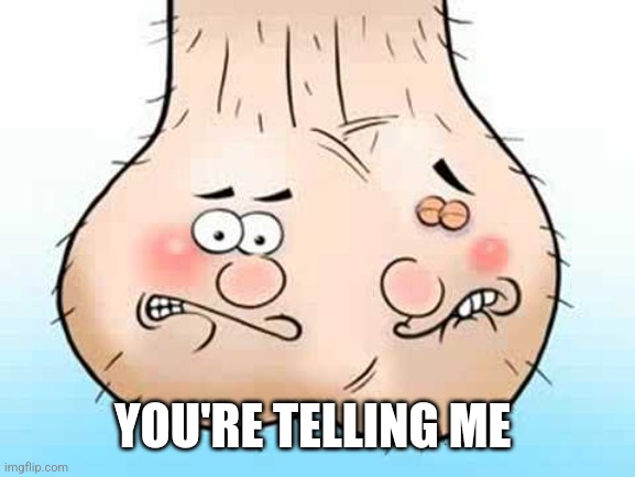 Testicles - balls | YOU'RE TELLING ME | image tagged in testicles - balls | made w/ Imgflip meme maker