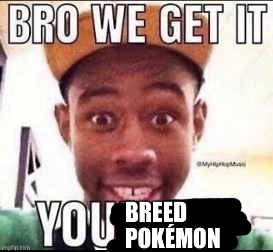 @BraxtonCummings | BREED
POKÉMON | image tagged in bro we get it you're gay | made w/ Imgflip meme maker