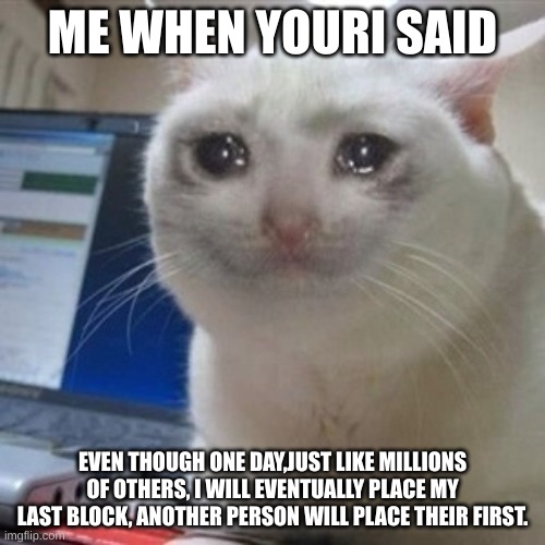 sadness | ME WHEN YOURI SAID; EVEN THOUGH ONE DAY,JUST LIKE MILLIONS OF OTHERS, I WILL EVENTUALLY PLACE MY LAST BLOCK, ANOTHER PERSON WILL PLACE THEIR FIRST. | image tagged in crying cat | made w/ Imgflip meme maker