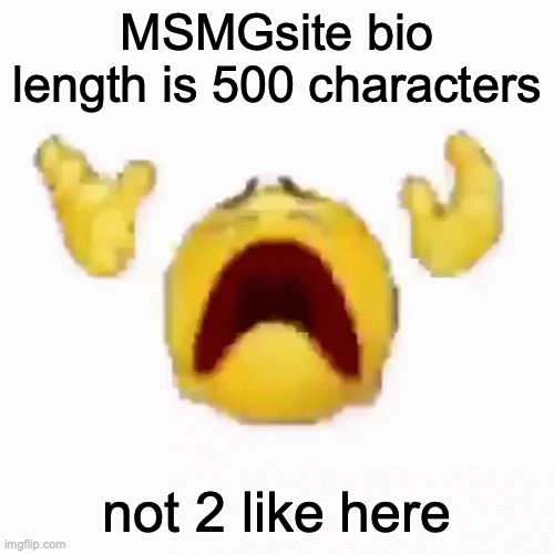 :nooo: | MSMGsite bio length is 500 characters; not 2 like here | image tagged in nooo | made w/ Imgflip meme maker