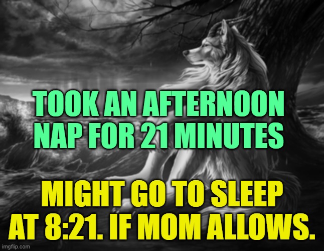 . | TOOK AN AFTERNOON NAP FOR 21 MINUTES; MIGHT GO TO SLEEP AT 8:21. IF MOM ALLOWS. | image tagged in sitting wolf | made w/ Imgflip meme maker