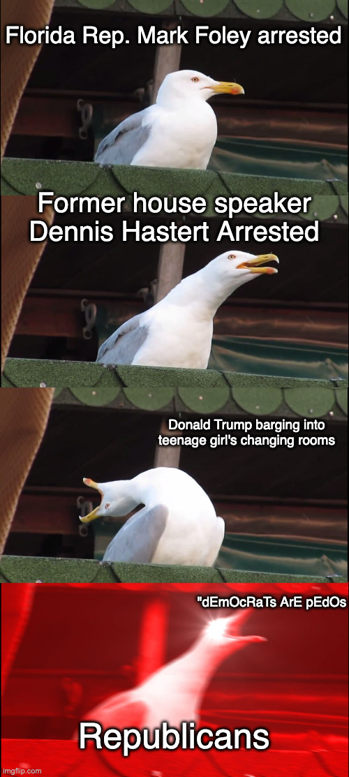 Seems like they're projecting their own insecurites | Florida Rep. Mark Foley arrested; Former house speaker Dennis Hastert Arrested; Donald Trump barging into teenage girl's changing rooms; "dEmOcRaTs ArE pEdOs; Republicans | image tagged in memes,inhaling seagull,donald trump,politics | made w/ Imgflip meme maker