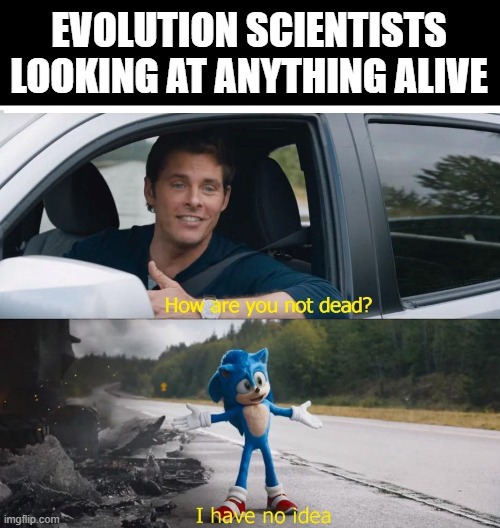 ? | EVOLUTION SCIENTISTS LOOKING AT ANYTHING ALIVE | image tagged in sonic how are you not dead | made w/ Imgflip meme maker