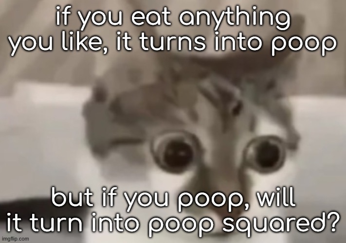 uhhhh | if you eat anything you like, it turns into poop; but if you poop, will it turn into poop squared? | image tagged in bombastic side eye cat | made w/ Imgflip meme maker