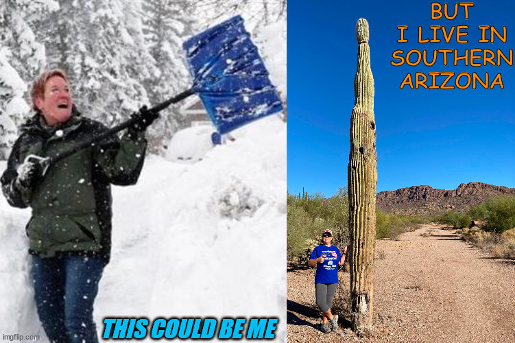 Southern Arizona sun | BUT I LIVE IN SOUTHERN ARIZONA; THIS COULD BE ME | image tagged in blizzard | made w/ Imgflip meme maker