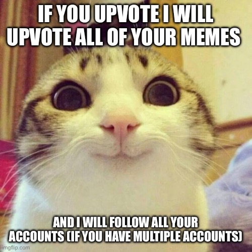 Deal or no??? | IF YOU UPVOTE I WILL UPVOTE ALL OF YOUR MEMES; AND I WILL FOLLOW ALL YOUR ACCOUNTS (IF YOU HAVE MULTIPLE ACCOUNTS) | image tagged in memes,smiling cat | made w/ Imgflip meme maker