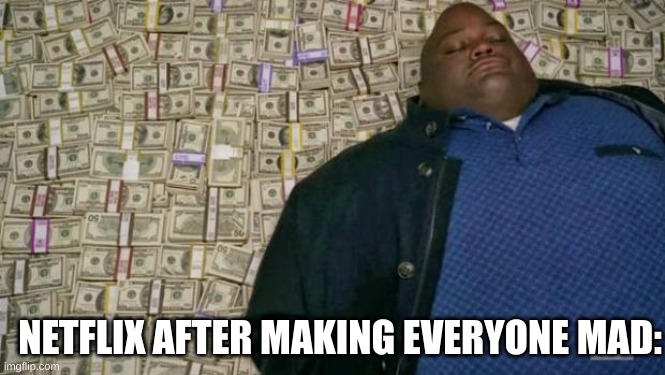 huell money | NETFLIX AFTER MAKING EVERYONE MAD: | image tagged in huell money | made w/ Imgflip meme maker