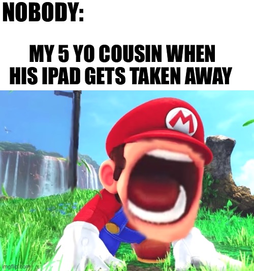 Unlimited irritation | NOBODY:; MY 5 YO COUSIN WHEN HIS IPAD GETS TAKEN AWAY | image tagged in mario screaming,fun stream | made w/ Imgflip meme maker