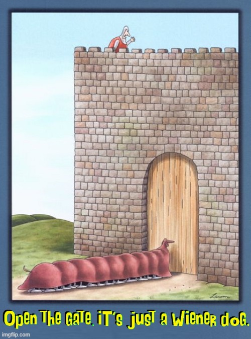 Wiener Dog Disguises in the Middle Ages | image tagged in vince vance,memes,the far side,cartoon,comics,wiener dog | made w/ Imgflip meme maker