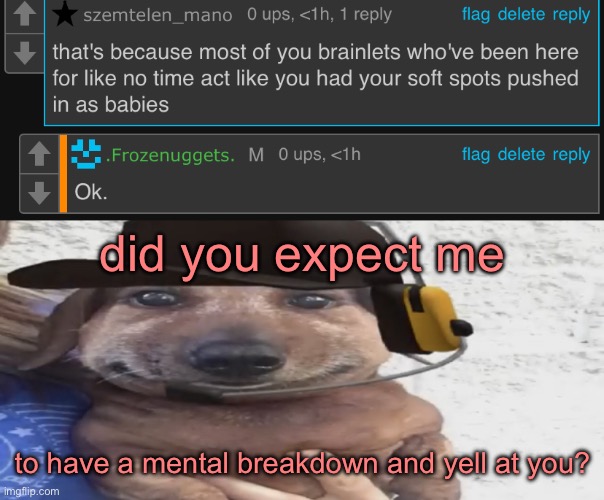 did you expect me; to have a mental breakdown and yell at you? | image tagged in chucklenuts | made w/ Imgflip meme maker