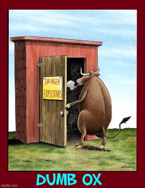 WARNING!  No Smoking in the Explosives Closet | image tagged in vince vance,bull,smoking,explosives,cartoons,the far side | made w/ Imgflip meme maker