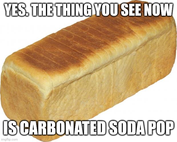 (Its name is Tiffany.) | YES. THE THING YOU SEE NOW; IS CARBONATED SODA POP | image tagged in breadddd,soda,pop,broken humor | made w/ Imgflip meme maker